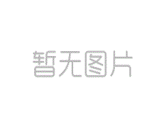成功案例